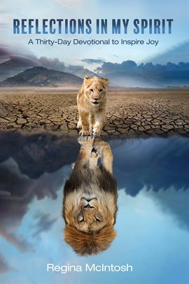 Cover image for Reflections in My Spirit