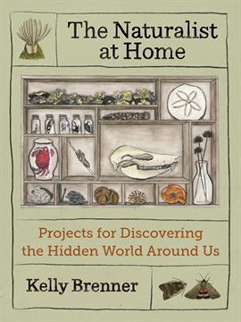 Cover image for The Naturalist At Home
