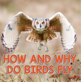 Cover image for How and Why Do Birds Fly