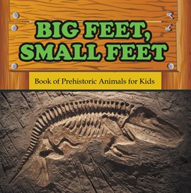 Cover image for Big Feet, Small Feet