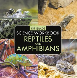 Cover image for Reptiles and Amphibians