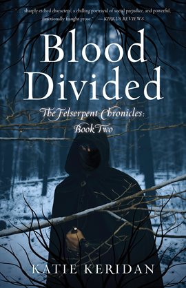 Cover image for Blood Divided