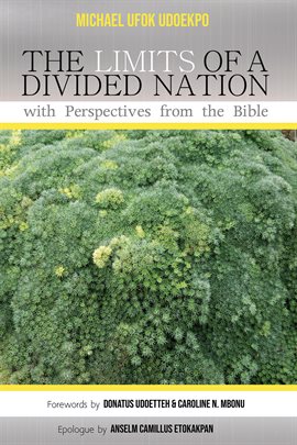Imagen de portada para The Limits of a Divided Nation with Perspectives from the Bible