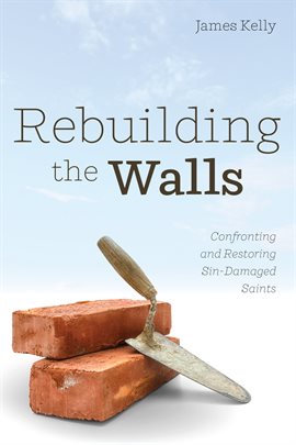 Imagen de portada para Rebuilding the Walls