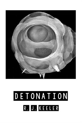Cover image for Detonation