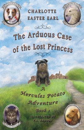 Imagen de portada para The Arduous Case of the Lost Princess
