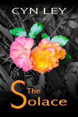 Imagen de portada para The Solace