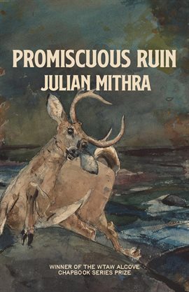 Cover image for Promiscuous Ruin