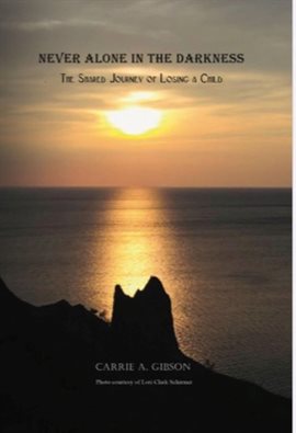 Cover image for Never Alone in the Darkness