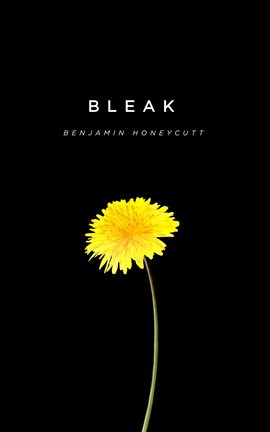 Imagen de portada para Bleak