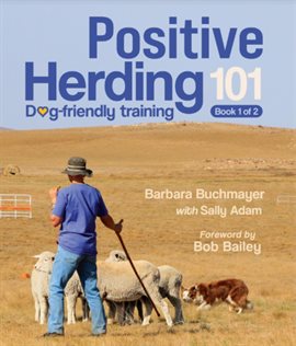 Cover image for Positive Herding 101