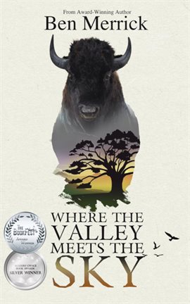 Cover image for Where the Valley Meets the Sky