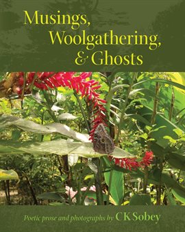 Cover image for Musings, Woolgathering, & Ghosts
