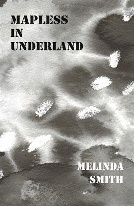 Imagen de portada para Mapless in Underland