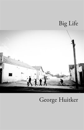 Imagen de portada para Big Life