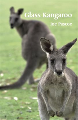 Cover image for Glass Kangaroo
