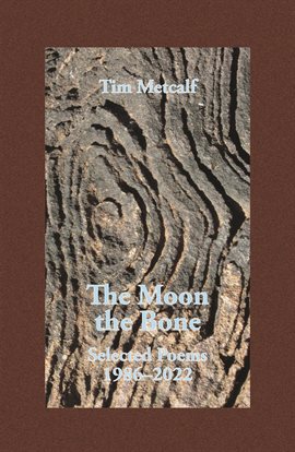 Cover image for The Moon the Bone