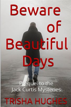 Cover image for Beware of Beautiful Days