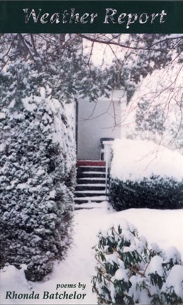 Cover image for Weather Report