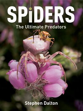 Cover image for Spiders