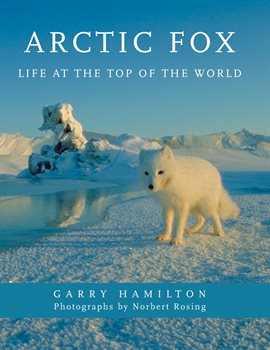 Cover image for Arctic Fox