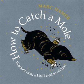 Imagen de portada para How to Catch a Mole
