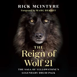 Cover image for The Reign of Wolf 21