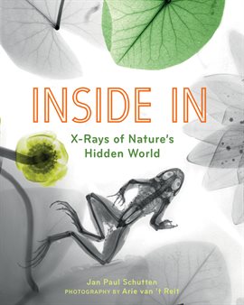 Cover image for Inside In