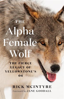 Cover image for The Alpha Female Wolf