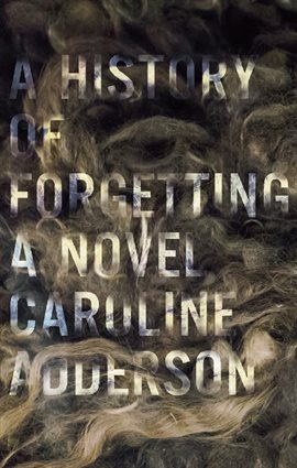 Cover image for A History of Forgetting