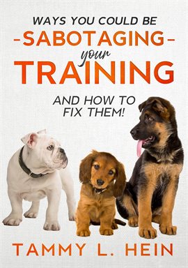 Cover image for Ways You Could Be Sabotaging Your Training Sessions