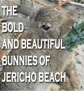 Cover image for The Bold and Beautiful Bunnies of Jericho Beach