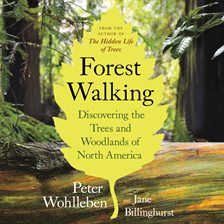 Imagen de portada para Forest Walking