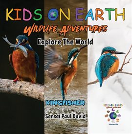 Cover image for Kingfisher Bird - Madagascar