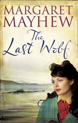 Cover image for Last Wolf
