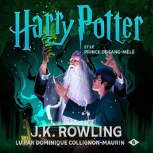 Cover image for Harry Potter et le Prince de Sang-Mêlé