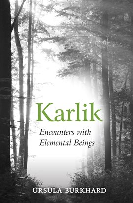 Cover image for Karlik