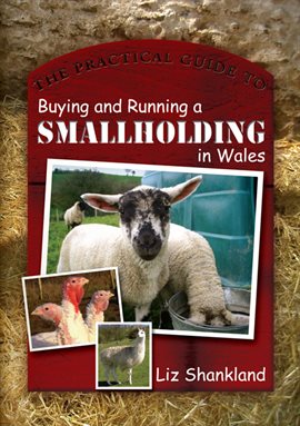 Cover image for The Practical Guide to Buying and Running a Smallholding in Wales