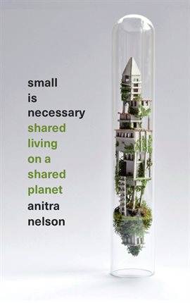 Cover image for Small is Necessary