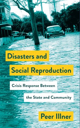 Cover image for Disasters and Social Reproduction