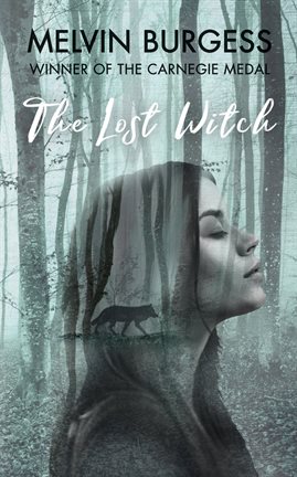 Cover image for The Lost Witch