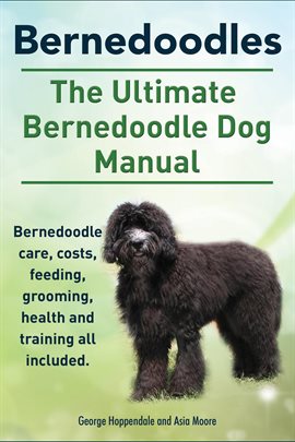 Cover image for Bernedoodles. The Ultimate Bernedoodle Dog Manual. Bernedoodle Care, Costs, Feeding, Grooming, He