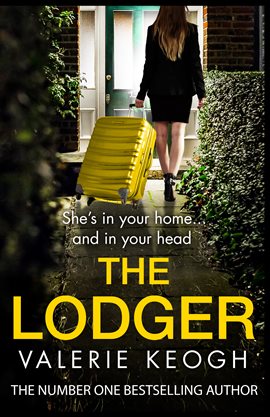 Cover image for The Lodger