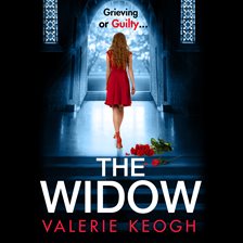 Cover image for The Widow