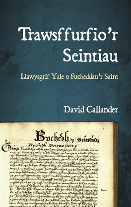 Trawsffurfio'r Seintiau