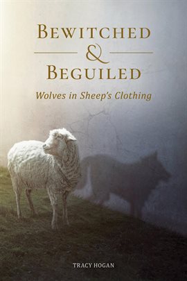 Imagen de portada para Bewitched and Beguiled