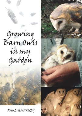 Cover image for Growing Barn Owls in My Garden