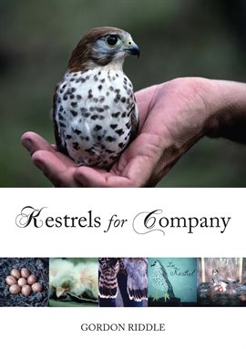 Cover image for Kestrels for Company