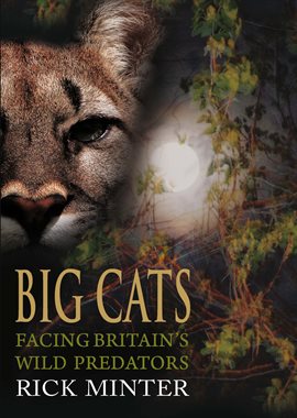 Cover image for Big Cats