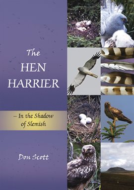 Cover image for The Hen Harrier